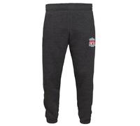Liverpool FC Official Boys Slim Fit Fleece Joggers Jog Pants Grey 6-7 Years