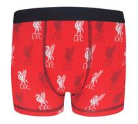 Liverpool FC Official Football Gift 1 Pack Boys Boxer Shorts Red 5-6 Years