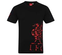 Liverpool FC Official Football Gift Kids Graphic T-Shirt Black 2-3 Years