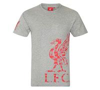 Liverpool FC Official Football Gift Kids Graphic T-Shirt Grey 2-3 Years