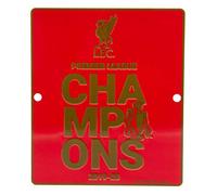 Liverpool FC Premier League Champions Window Sign