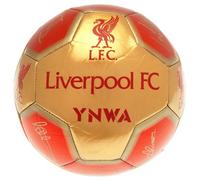 Liverpool Fc Signature 26 Panel Football Red (5)