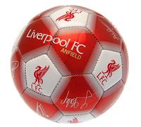 Liverpool FC Signature Mini Ball (One Size) (Red)