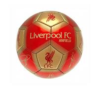 Liverpool FC Signature Skill Ball (One Size) (Red/Gold)