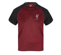 Liverpool FC T-Shirt Boys Poly - Official Gift - Red Marl 2-3 Years