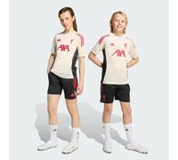LFC adidas Youth 25/26 Domestic Short Sleeve Training Top White