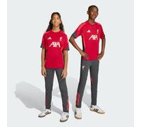 Liverpool FC Tiro 25 Competition Training Pants