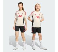 Liverpool FC Tiro 25 Competition Training Shorts Kids