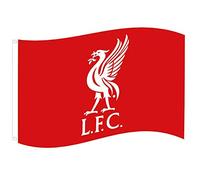 Liverpool FC Unisex - Adults YNWA Flag 90 x 150 cm, Red, Medium