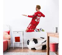 Liverpool FC Wall Sticker - Ekitike 25/26 Illustration Wall Decal LFC Art (90cm Height x 75cm Width)