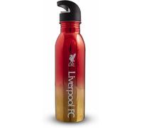 LIVERPOOL FC WATER BOTTLE 700ML UV METALLIC STAINLESS STEEL OFFICIALLY LICENSED