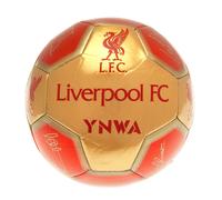 Liverpool FC YNWA Signature Football - Official Licensed, 26-Panel Crest with Printed Player Signatures (47cm)