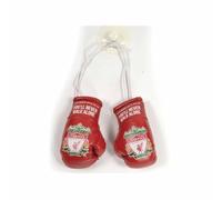 Liverpool FC You'll Never Walk Alone Car Hanging Boxing Gloves