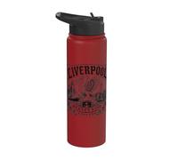 Liverpool Merseyside England Liverbird Waterfront Black Ink Stainless Steel Insulated Water Bottle