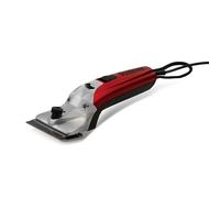 Liveryman Black Beauty Mains