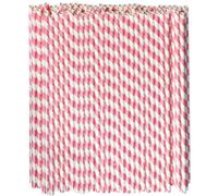 Lives on Green Pink and White Striped Disposable Paper Straws - 26cm Long, 0.6cm Wide for Girls Birthday Party Baby Shower Pack of 100