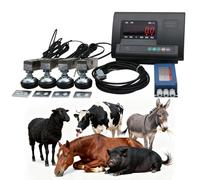 Livestock Scale Kit, 2000kg Steel Beam Compression Load Cell Floor Scale Kit for Animal Cattle Goat Pigs Horse Sheep with Weighting Indicator