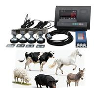 Livestock Scale Kit for Accurate Animal Weighing, 2000KG Load Indicator and Platform for Cattle, Sheep, Pigs, Goats - High Precision Measurement System