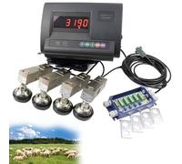 Livestock scale set, high-precision display load cell scale with 4 load cells and LED display. Electronic livestock scale set with junction box. Livestock scales for cattle, pigs, goats, 5000 kg