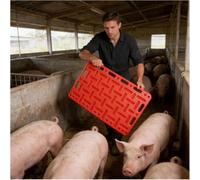 Livestock Sorting Panel 3-in-1 for Hog, Sheep & Goat - Textured Surface for Secure Grip in Muddy Farm and Fair Conditions - Durable and Reliable Design