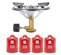 LIVHOME Portable Single Burner Camping Stove + 4 Gas Canisters, Mini Gas Stove, Compact Stainless Steel Burner, Lightweight Camping Stove for Hiking, Fishing, Outdoor Cooking