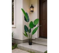 Living and Home 1.8m Artificial Traveller's Palm Tree in Green Living and Home Green