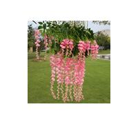 Living and Home 12 Pcs Hanging Artificial Wisteria Vine for Wedding Decoration - Pink