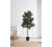 Living And Home 190Cm H Decorative Plant Artificial Olive Tree In Planter In Green Green