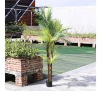 Living And Home 200Cm High Green Home Decoration Potted Betel Nut Tree