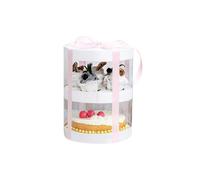 Living and Home 8-Inch Double-Layer Transparent Ribbon Packaging Box - White