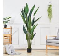 Living And Home Artificial Strelitzia Tree House Plant Indoor Plant In Black Pot 160 Cm