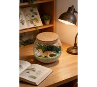 Living and Home Dinosaur Terrarium Kit with Color-Changing LED Light & Remote Living and Home Multicolor