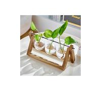 Living And Home Modern 3Pcs Bulb Glass Terrariums With Wood Stand Set In Brown Brown One Size