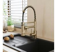 Living and Home Stainless Steel Kitchen Faucet with Pull Down Spring Spout and Pot Filler - Brushed Gold