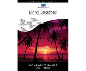 Living Beaches [DVD] [Region 1] [US Import] [NTSC]