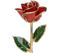 Living Gold Red 24k Gold Rose Real Rose Dipped in Gold