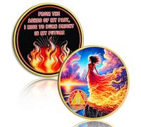 Living in the Sun 2 Year Sobriety Coin, AA Chips Sobriety Gifts for Women