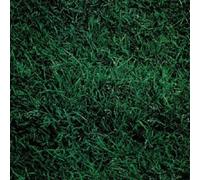 LIVING MUSIC - TO ALLEN GINSBERG VINYL LP NEW