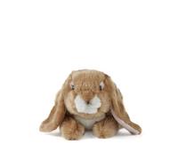 Living Nature Brown Lop Eared Rabbit