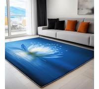 Living Room Area Rugs 100 x 160 cm, Machine Washable Gradient Flowers Stars Printed Rectangle Rug - Dream Water Surface Non-slip Decoration Carpet Soft Low-pile Floor Decorate Carpets for Bedroom