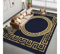Living Room Area Rugs 60 x 90 cm, Greek Winding Gold Circle Printed Rug, Navy Blue Carpet Washable Short Pile Carpet for Bedroom Dining Room, Soft Non-Slip Non Shedding Runner