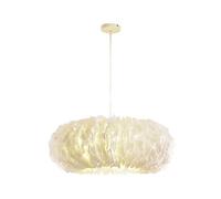 Living Room Bedroom Children's Room Princess Room Wedding Room,Creative Children's Room s,E27 Nordic Creative Girl Warm Romance Feather s,Feather Lighting-White. 40cm