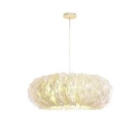 Living Room Bedroom Children's Room Princess Room Wedding Room,Creative Children's Room s,E27 Nordic Creative Girl Warm Romance Feather s,Feather Lighting-White. 40cm