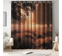 Living Room Blackout Curtains Warm Orange, Thermal Curtains, Eyelet Curtains, Landscape, Dawn Forest Grass, Light Blocking, Privacy, Heat Insulated, 66" x 72", Bedroom
