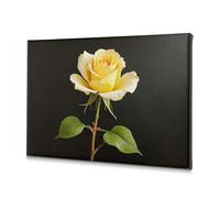 Living Room Decor A Beautiful Yellow Rose With Green Leaves. Canvas Decorative Picture Bathroom Pictures Dining Room Decor(40x60cm)