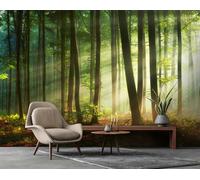 lIVING ROOM decor wallpaper green forest trees nature home office wall mural