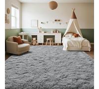 Living Room Rug 55 x 90 cm Shaggy Soft and Elegant Carpets Living Room Area Rugs Easy to Clean, Many Different Sizes for Bedroom, Light Grey