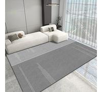 Living Room Rug 60cm x 110cm Shaggy Soft And Elegant Carpets For The Bedrooms And Kitchen, Easy To Clean, Many Different Sizes Gray Minimalist Geometric Lines Rug