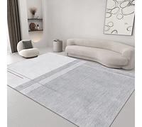 Living Room Rug 90cm x 150cm Shaggy Soft And Elegant Carpets For The Bedrooms And Kitchen, Easy To Clean, Many Different Sizes Gray White Minimalist Geometric Rug