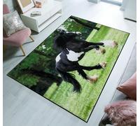 Living Room Rugs 3D Cute Animals Printed Large Area Multicolored Rugs Kitchen Floor Mats Hallway Runner Rug Picnic Mat Anti-Skid Indoor/Outdoor Carpets (Animal-Dolce, 50 x 80 cm)